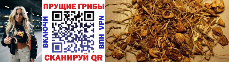 Псилоцибиновые грибы MAGIC MUSHROOMS  mega сайт  Калач-на-Дону 