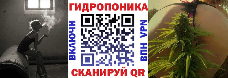 Конопля Amnesia  KRAKEN зеркало  Калач-на-Дону  сколько стоит 
